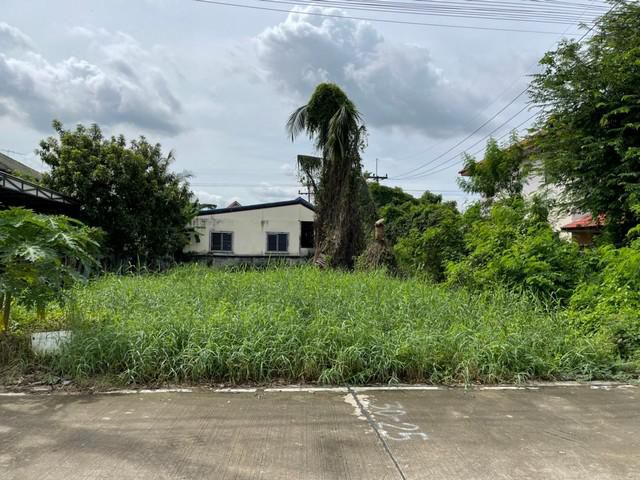 ขายด่วน ที่ดินเปล่า 62 ตร.วา ซ.ไสวประชาราษฎร์25