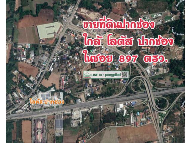 > ขายที่ดินปากช่อง ใกล้โลตัสปากช่อง ในซอย 897 ตรว. ถมแล้ว