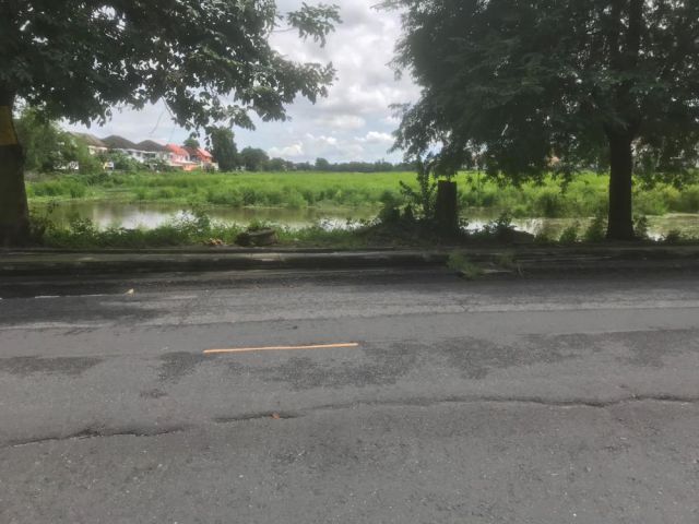 PR970ขายที่ดินสวย KC นิมิตรใหม่ บรรยากาศร่มรื่นท่ามกลางธรรมชาติ ด้านหน้าติดถนนคอนกรีต คลองสามวา