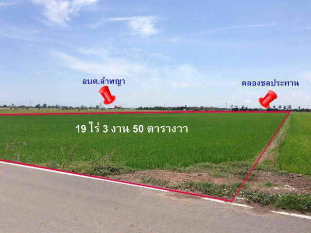 PR972ขายที่ดิน 19-3-50  ไร่ ปัจจุบันให้เช่าทำนา  ขายที่ดินสวย สภาพแวดล้อมดี  ทำเลเข้าออกสะดวก  นครปฐม