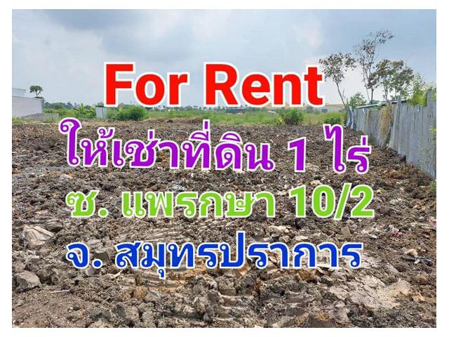 For Rent ให้เช่าที่ดินเปล่าถมแล้ว เนื้อที่ 1 ไร่ ซอยแพรกษา 10/2