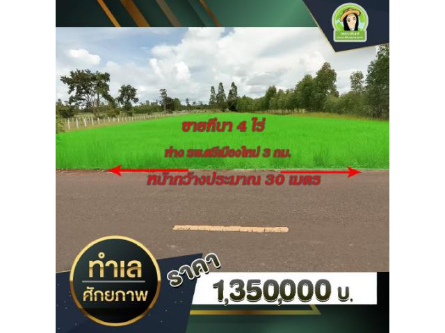 ที่ดินติดถนนลาดยาง อ.ศรีเมืองใหม่ จ.อุบลราชธานี