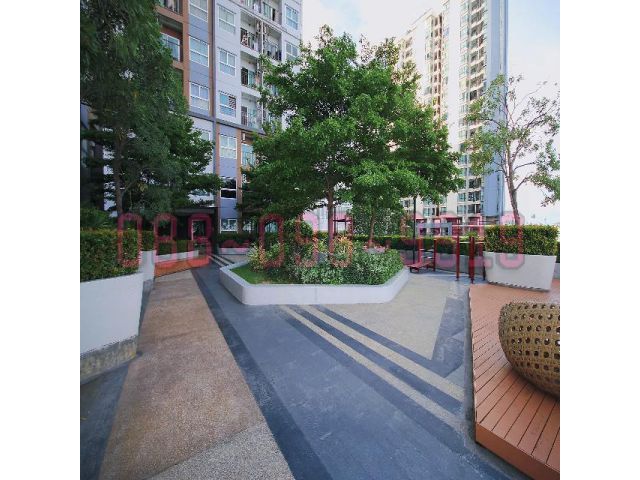 The Trust Condo งามวงศ์วาน ชั้น 12A 30 ตรม.