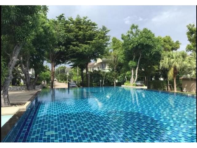 LV 50267 บ้านว่างให้เช่า พฤกษ์ลดา 2