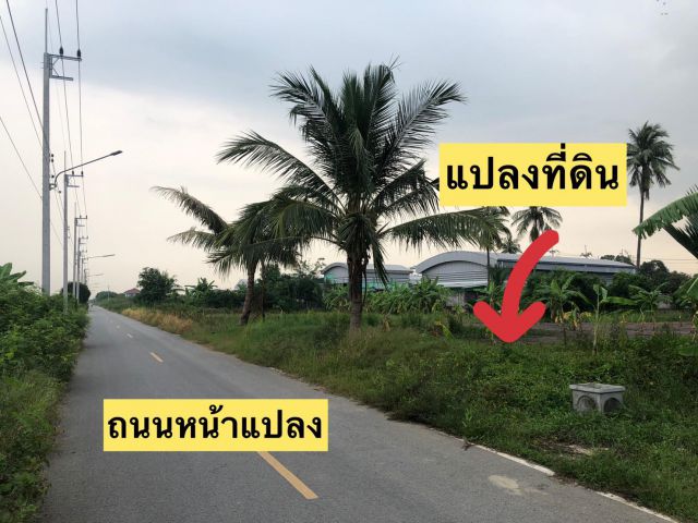 ที่ดินแปลงสวย ใกล้ รพ ศาลายา  พุทธมณฑล