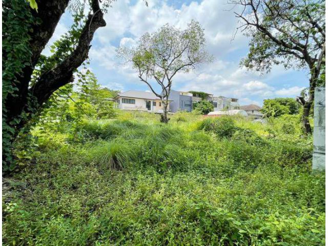 L716 ขาย ที่ดินเปล่า ถมแล้ว  207 ตรว.ลาดพร้าว 42 ใกล้รถไฟฟ้าสถานีภาวนา