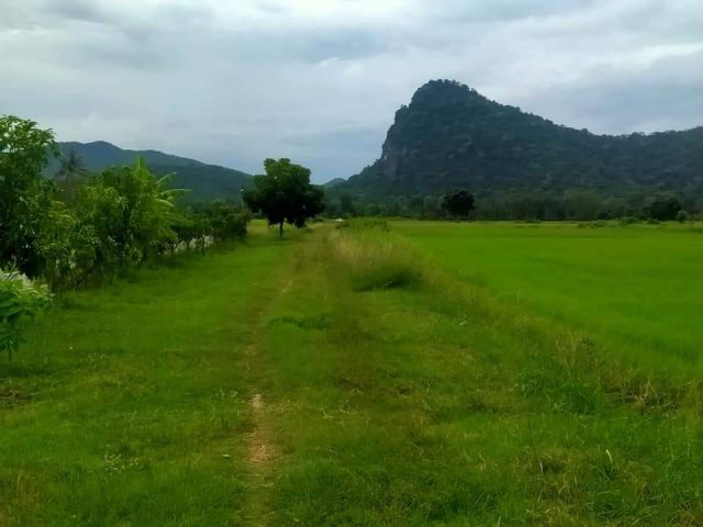 ขายที่นาวิวสวยมาก​ ต.เตาปูน​อ.โพธาราม​จ.ราชบุรี