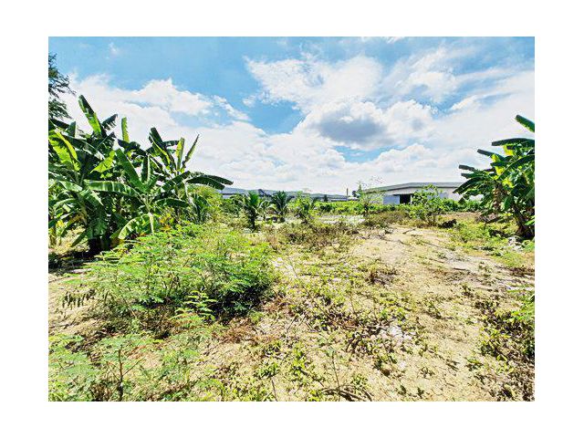 ขาย ที่ดิน 2-1-72 ตร.ว. ท่ายายโหมด นครปฐม