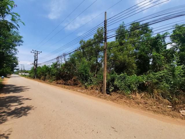 ขายที่ดินพนมสารคาม 1 ไร่ ติดถ. ซอยวัดดอนทอง ใกล้ถ. เส้น 3076 - 450 เมตร จ. ฉะเชิงเทรา