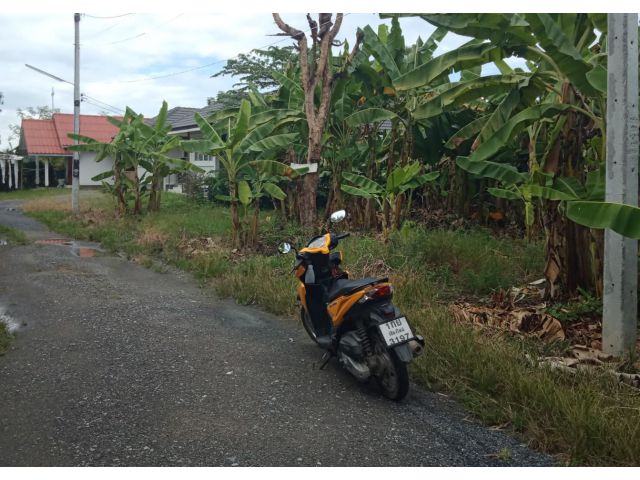 ที่ดินเปล่าบ้านสันปูเลย อ.ดอยสะเก็ด