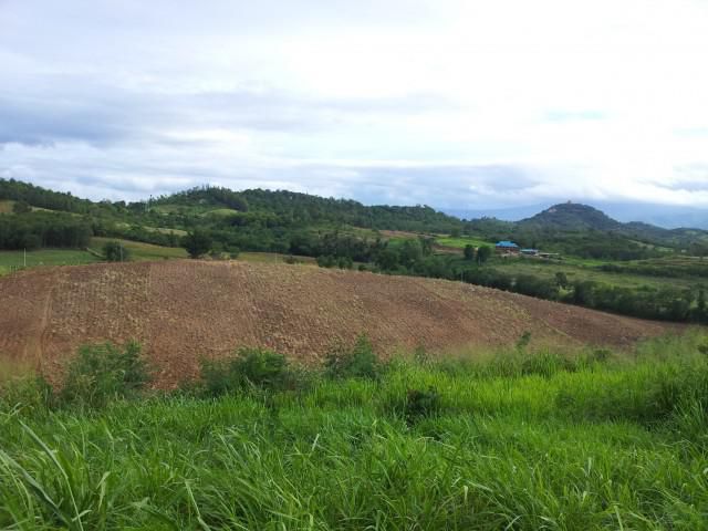ขาย ที่ดินเขาใหญ่ ปากช่อง จ.นครราชสีมา 20ไร่ บนเนิน วิวสวย อากาศดี ต่อรองได้เลย พร้อมโอน ฟรี 47