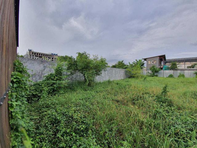 L717a ขายถูก ที่ดิน112 ตรว ซอย พระแม่การุณย์ 10 ถนนติวานนท์ ใกล้ Robinsonศรีสมาน