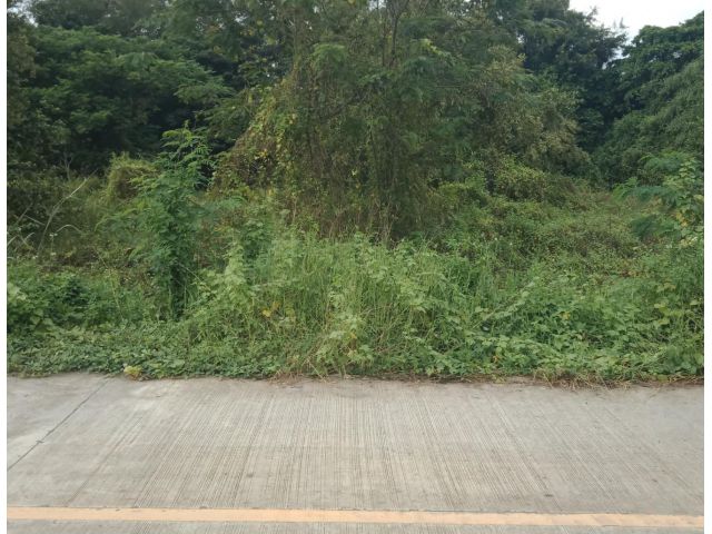 ที่ดิน ต.สันปูเลย อ.ดอยสะเก็ด