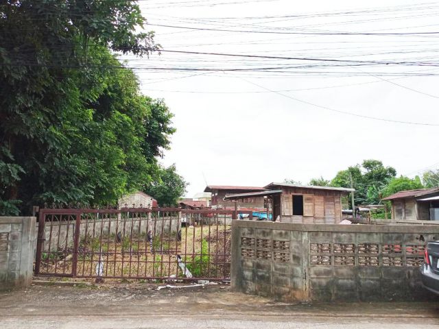 9B2MG0007 ขายที่ดิน พร้อมเอกสารสิทธฺ์ โฉนด  ที่ดินมีขนาด 1  งาน  75.5 ตรว.