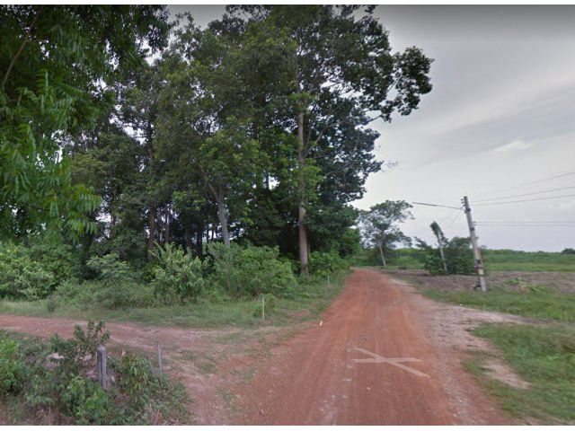 ขายที่ดินพนมสารคาม 19 ไร่ ใกล้ถนนเส้น 319 - 3 กม. จ.ฉะเชิงเทรา