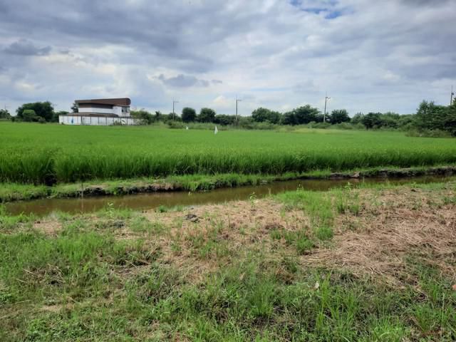 ขายที่ดินพื้นที่สีม่วงคลอง 9  ลำลูกกา 20-2-42 ไร่