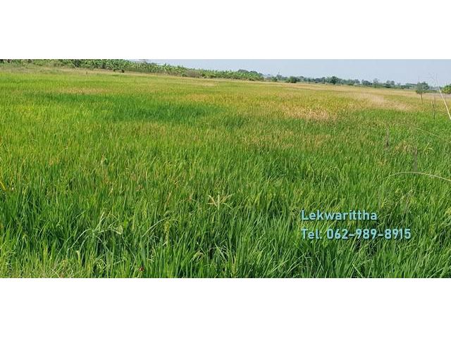 ขาย ที่ดินชลบรี อมตะ-พานทอง ชลบุรี