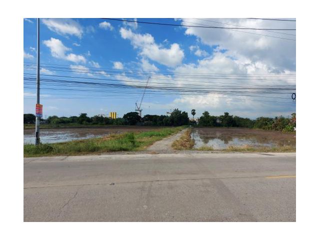 ขายที่ดินลำลูกกา ติดถนนเลียบคลองหกวาสายล่าง เนื้อที่ 3 ไร่ครึ่ง และ 6 ไร่ ใกล้ตลาดรวยรุ่งทรัพย์ ติดถนน-ติดคลอง