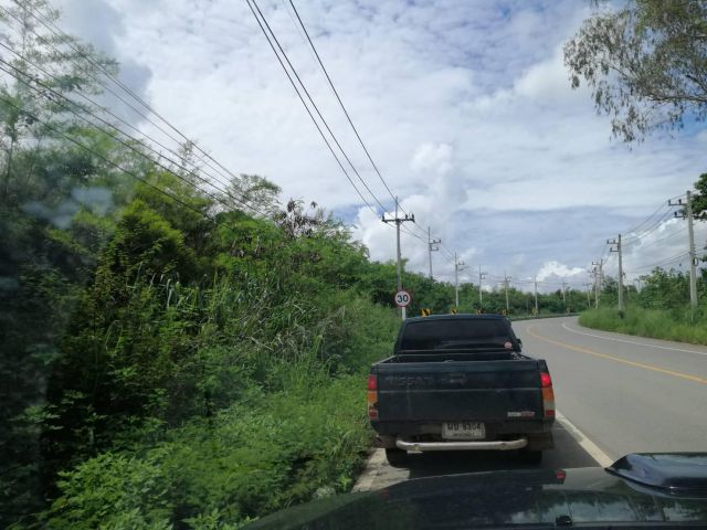 ขายที่ดิน 60 ไร่ ติดถนน 3052(เขาใหญ่-วังน้ำเขียว) ตำบลหมูสี อำเภอปากช่อง จังหวัดนครราชสีมา ที่ดินสวย ด้านหน้าที่ดินติดถน