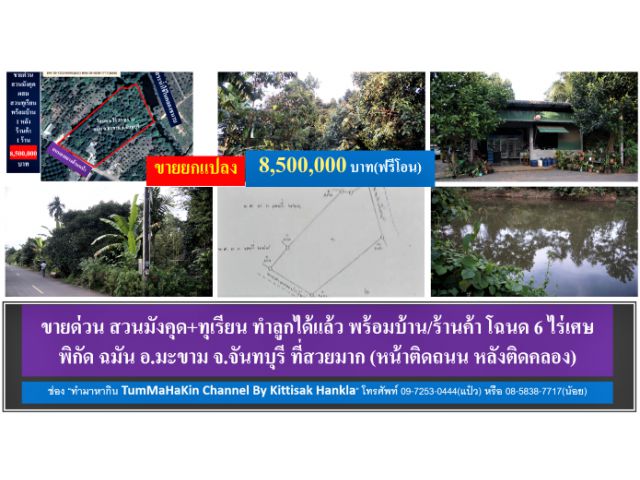 #ขายด่วน #สวนมังคุด+ทุเรียน #บ้าน+ร้านค้า #โฉนด 6 ไร่เศษ #พิกัดฉมัน #มะขาม #จันทบุรี #Durian #Thailand #榴蓮