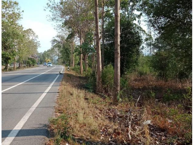 ที่ดินติดถนนทางหลวงหมายเลข 11