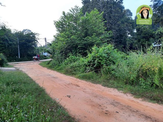 ที่ดินบ้านประชาสรร/ ยโสธร  350,000.-