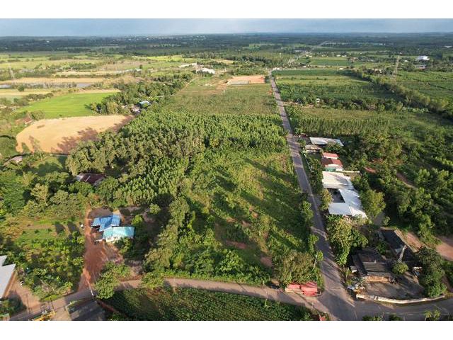 ขายที่ดิน 7 ไร่ ราคาไร่ละ 1.8 ล้านบาท ติดถนนลาดยาง 3017 ใกล้ถนน 331 - 600เมตร