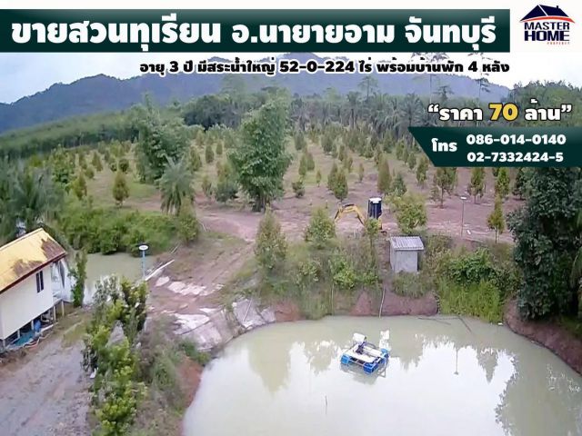 ขายสวนทุเรียน 51-0-224 ไร่ อายุ 3 ปี มีสระน้ำใหญ่ ทุเรียนหลากสายพันธุ์ อ.นายายอาม จ.จันทบุรี เหมาะลงทุน รหัส 05664