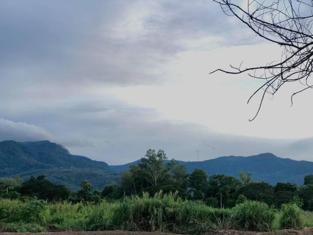 ที่ดินวิวภูเขา ติดแม่น้ำ อ.แม่ริม เชียงใหม่ ใกล้วัดป่าดาราภิรมย์   ไม่ไกลจากโรงแรมโฟร์ซีซัน