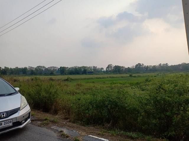 ที่ดีดินสมบูรณ์  ติดถนนคอนกรีต มหาราช อยุธยา
