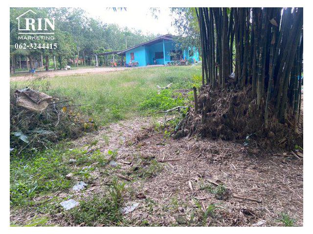 รหัสทรัพย์ : AK301021-02 ที่ดินเปล่า แปลงหัวมุม 124 ตร.ว ต.หนองตะพาน อ.บ้านค่าย ระยอง