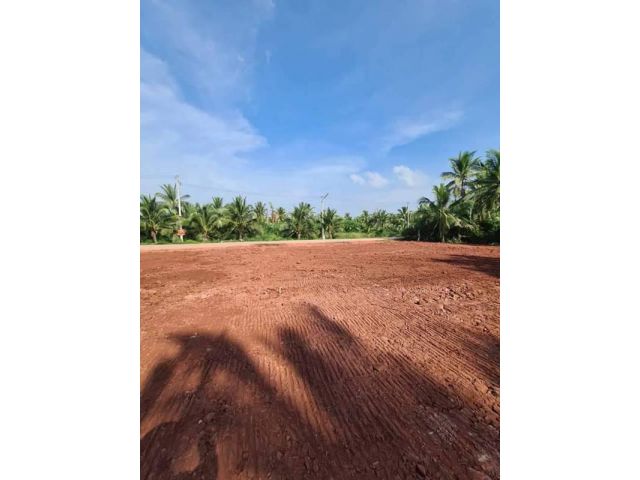 ขาย แบ่งขาย ที่ดินแม่กลอง สวย สี่เหลี่ยมผืนผ้าเท่ากันทุกแปลง ทำเลดี น้ำไม่เคยท่วม ติดถนนหลวงทั้งสองฝั่ง