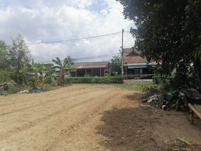 ขายที่ดินติดแม่น้ำปิง เนื้อที่ 205 ตร.ว. วาละ 21,000 อ.แม่ริม จ.เชียงใหม่