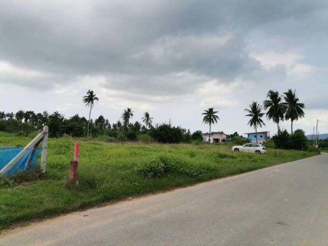 ขายที่ดินใกล้สนามบินอู่ตะเภา พลูตาหลวง สัตหีบ​ เจ้าของขายเอง