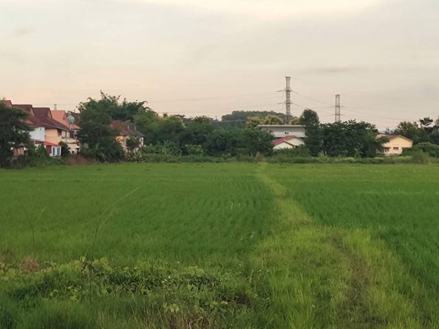 ขายที่ดินเมืองเชียงราย 31 ไร่ ติดคลองวิวเขาสวยๆ ใกล้ถนนเส้น 1020 - 900 เมตร จ.เชียงราย