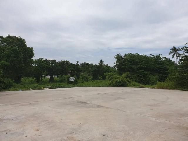 ขายถูกที่ดินแปลงสวย 4 ไร่ ทำเลดี ใจกลางเมือง