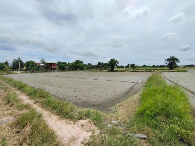 ขายที่นาศรีราชา 4 ไร่ หลังเครือสหพัฒน์ ติดถ. คอนกรีต ใกล้ท่าเรือแหลมฉบัง - 8 กม. จ.ชลบุรี