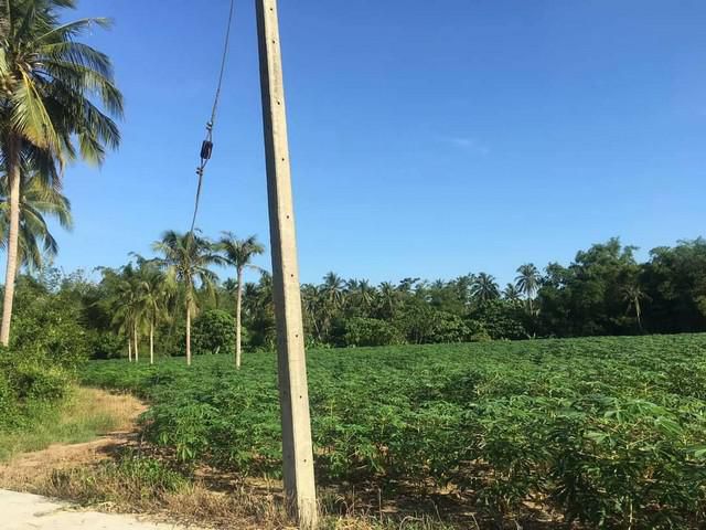 ขายที่ดินศรีราชา 13 ไร่ ติดถนนคอนกรีต ท้ายติดลำห้วย ใกล้ถนนเส้นสัตหีบ-พนมสารคาม(331) - 8 กม. จ.ชลบุรี