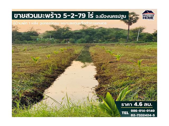 ขายสวนมะพร้าว 5-2-79 ไร่ อำเภอเมืองนครปฐม ที่ดินสวยถมแล้ว - 05537