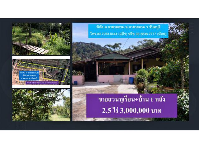 #ขายสวนทุเรียนโต #บ้าน 1 หลัง #โฉนด 2.5 ไร่ #พิกัด ต.นายายอาม #จันทบุรี #3 ล้านบาท #Durian #Thailand #榴蓮