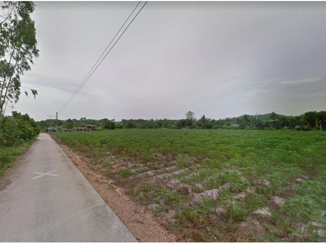 ขายที่ดินพนมสารคาม 9 ไร่ ติดถนนคอนกรีต ใกล้ถนนเส้น 304 - 1 กม. จ.ฉะเชิงเทรา