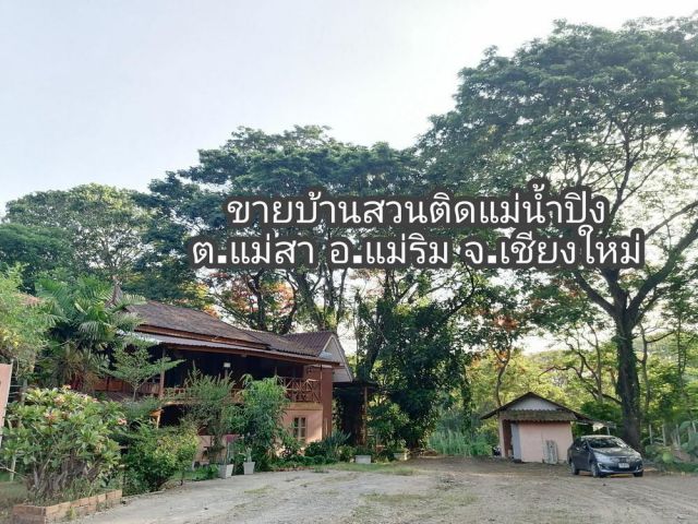 ขายบ้านสวนติดแม่น้ำปิง ที่โฉนดไร่ครึ่ง(ที่งอกอีก2ไร่) ราคา18.5ล. ตรงข้ามอนุสาวรีย์พระนเรศวร อ.แม่ริม