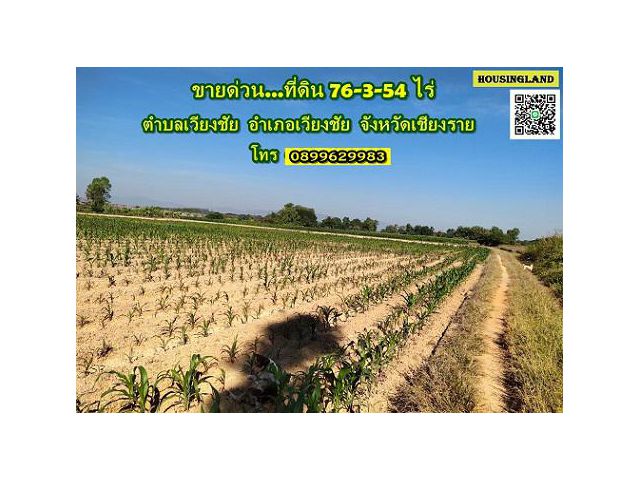ขายด่วนที่ดิน 76-3-54 ไร่ อ.เวียงชัย จ.เชียงราย