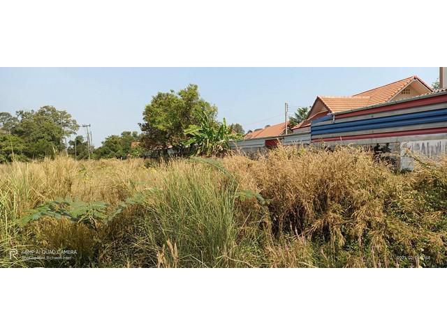 ขายที่ดินเมืองปราจีนบุรี 2.5 ไร่ ถมแล้วติดถ.เส้น3008 ใกล้วัดเกาะเค็ดใน - 1 กม. ปราจีนบุรี