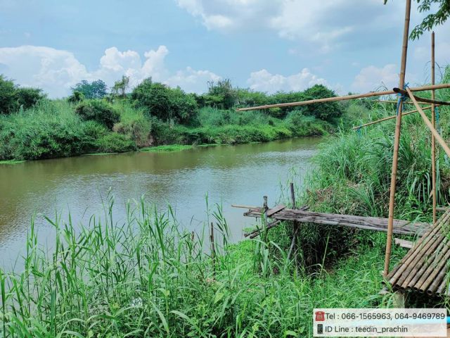 ️ขายที่ติดแม่น้ำบางปะกง ที่ทำสวน อยู่ในเขตหมู่บ้าน  เนื้อที่ 3 ไร่ 70 ตรว.