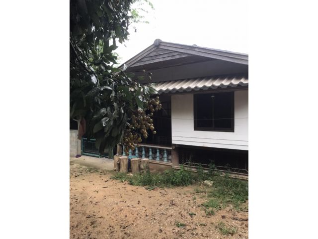 ขายที่ดินพร้อมบ้าน เดี่ยว1ชั้น พร้อมเข้าอยู่