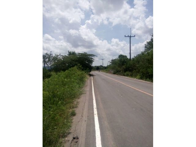 ขายที่ดิน 33-1-12 ไร่ ตำบล คลองม่วง อำเภอ ปากช่อง นครราชสีมา
