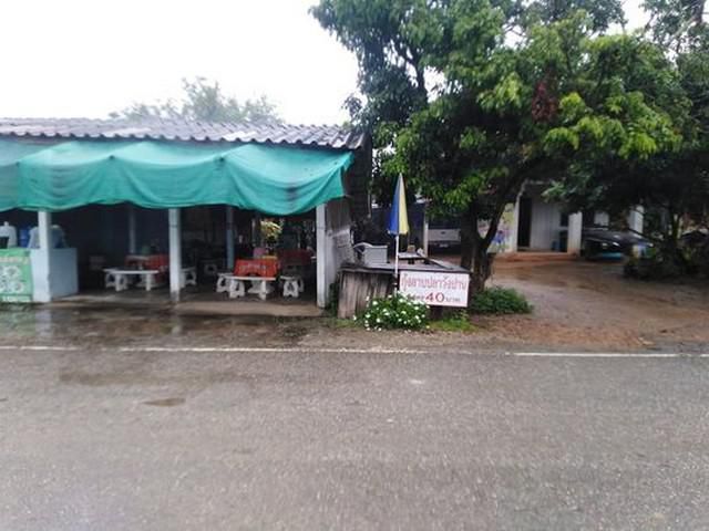 ที่ดิน3-1-68ไร่ 2ลบ สวนผลไม้ ถนนลาดยาง ดอยหล่อ ชม.