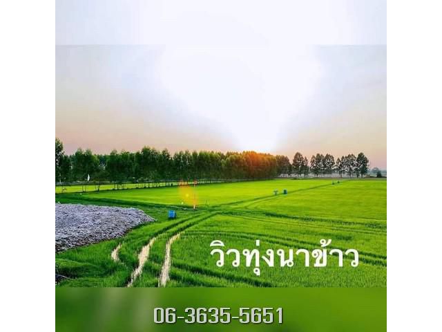 ขายที่ดินนครนายก วิวทุ่งนา วิวเขาไกลๆ 5 ไร่