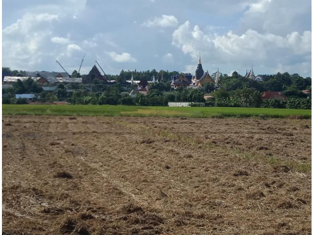 ที่ดินวิวดอยตรวข้ามวัดบ้านเด่น